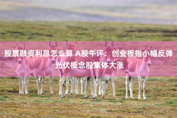 股票融资利息怎么算 A股午评:创业板指小幅反弹 光伏概念股集体大涨
