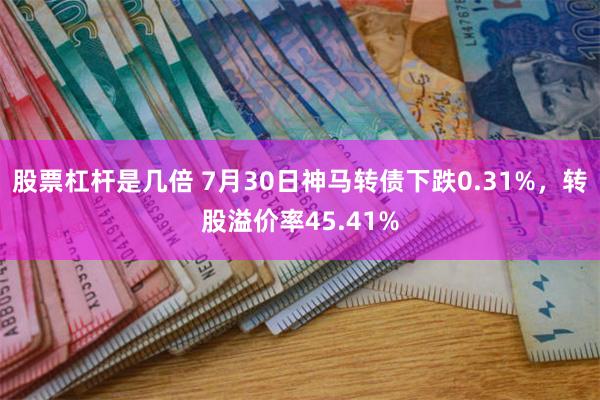 股票杠杆是几倍 7月30日神马转债下跌0.31%,转股溢价率45.41%