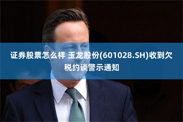 证券股票怎么样 玉龙股份(601028.SH)收到欠税约谈警示通知