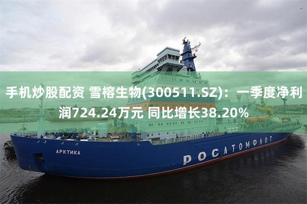 手机炒股配资 雪榕生物(300511.SZ):一季度净利润724.24万元 同比增长38.20%