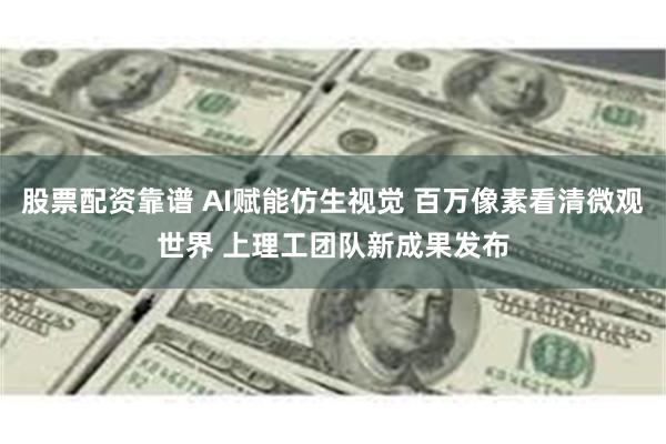 股票配资靠谱 AI赋能仿生视觉 百万像素看清微观世界 上理工团队新成果发布