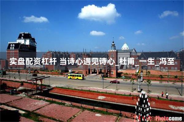 实盘配资杠杆 当诗心遇见诗心_杜甫_一生_冯至