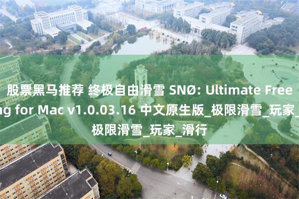股票黑马推荐 终极自由滑雪 SNØ: Ultimate Freeriding for Mac v1.0.03.16 中文原生版_极限滑雪_玩家_滑行
