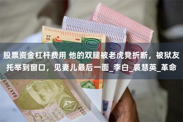 股票资金杠杆费用 他的双腿被老虎凳折断，被狱友托举到窗口，见妻儿最后一面_李白_裘慧英_革命