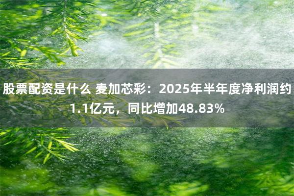 股票配资是什么 麦加芯彩：2025年半年度净利润约1.1亿元，同比增加48.83%