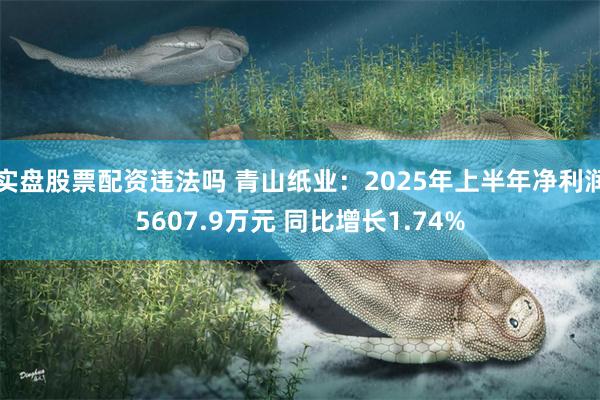 实盘股票配资违法吗 青山纸业：2025年上半年净利润5607.9万元 同比增长1.74%
