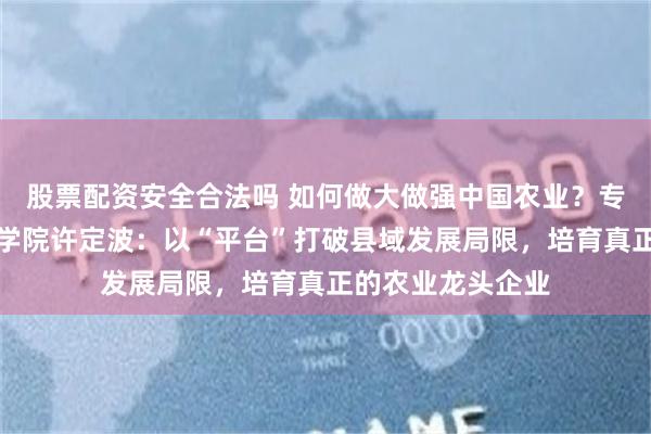 股票配资安全合法吗 如何做大做强中国农业？专访中欧国际工商学院许定波：以“平台”打破县域发展局限，培