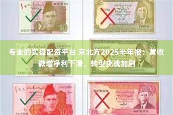 专业的实盘配资平台 京北方2025半年报：营收微增净利下滑，转型挑战加剧