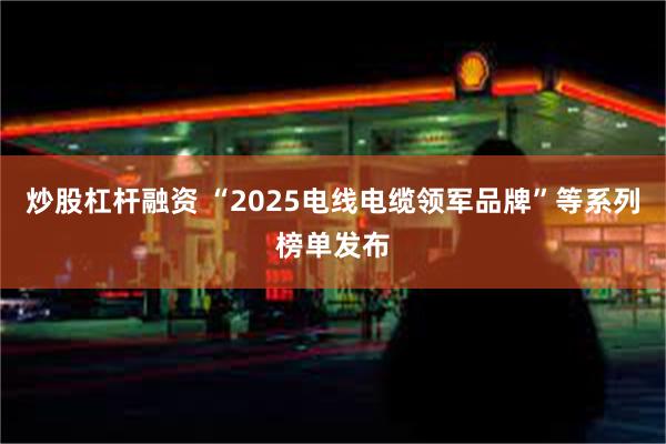 炒股杠杆融资 “2025电线电缆领军品牌”等系列榜单发布