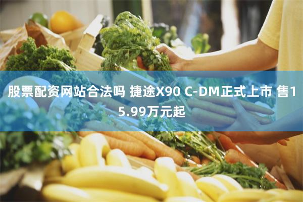 股票配资网站合法吗 捷途X90 C-DM正式上市 售15.99万元起